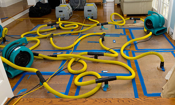 Professional Storm Water Damage Restoration technician working in Dallas, SD